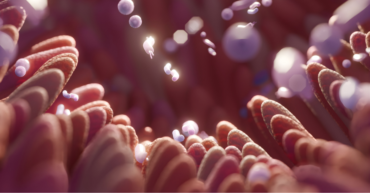 Microbiota en dieta rica en fibra